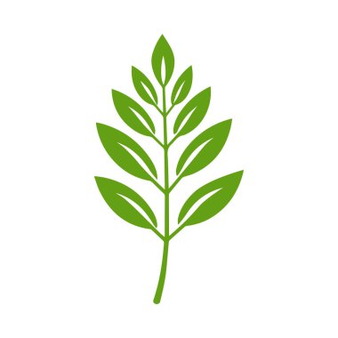 Yeşil Yaprak simgesi şekli taze düz vektör tasarımı.