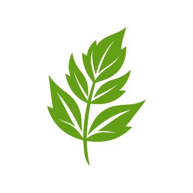 Yeşil Yaprak simgesi şekli taze düz vektör tasarımı.
