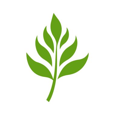 Yeşil Yaprak simgesi şekli taze düz vektör tasarımı.