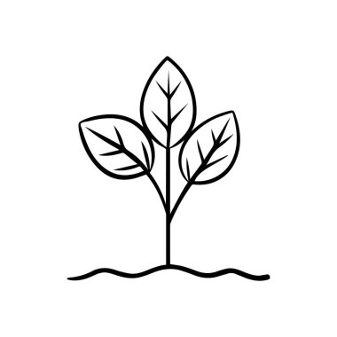 Tohum ağacı büyüyen ikon. Siyah doğa yeşil vektör tasarımı.
