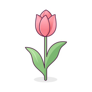 Beyaz arka planda yeşil yapraklı pembe bir lale..