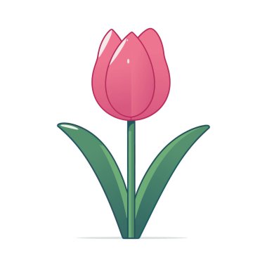 Beyaz arka planda yeşil yapraklı pembe bir lale..