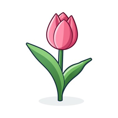 Beyaz arka planda yeşil yapraklı pembe bir lale..