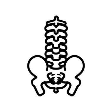 Bir insanın leğen kemiği ve omurgası çizilmiş..