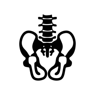 Bir insanın leğen kemiği ve omurgası çizilmiş..