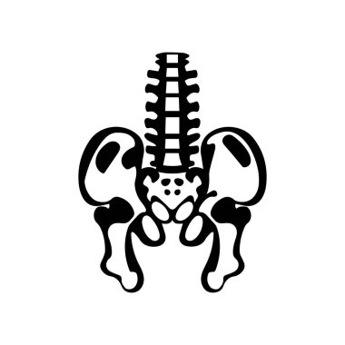 Bir insanın leğen kemiği ve omurgası çizilmiş..