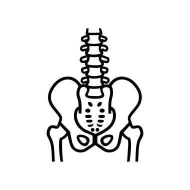 Bir insanın leğen kemiği ve omurgası çizilmiş..