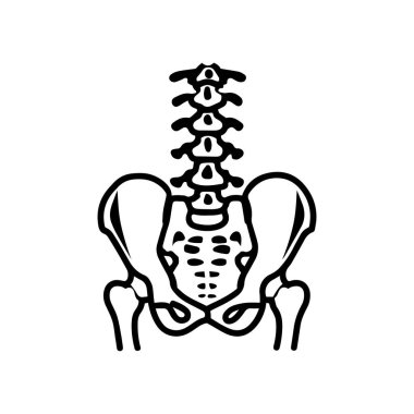 Bir insanın leğen kemiği ve omurgası çizilmiş..