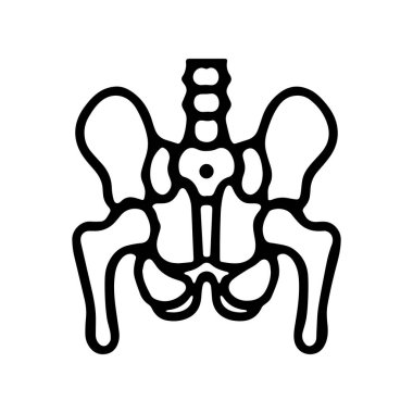 Bir insanın leğen kemiği ve omurgası çizilmiş..