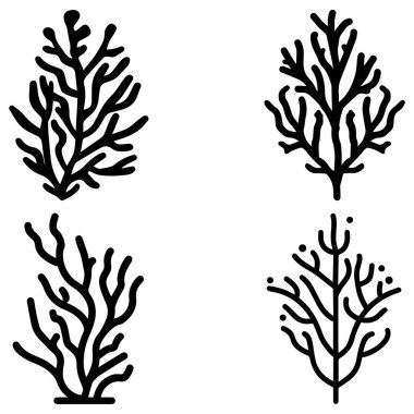 Coral wavy branches Black outline illustration resemble marine vegetation white background.