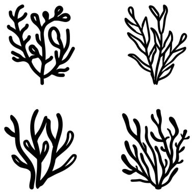 Coral wavy branches Black outline illustration resemble marine vegetation white background.