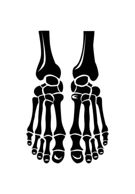 İnsan alt gövdesinin iskelet bacak ikonu anatomik kemik yapısı