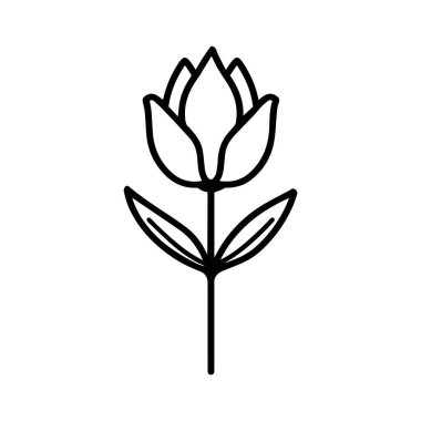 İki yapraklı bir lale çizimi.