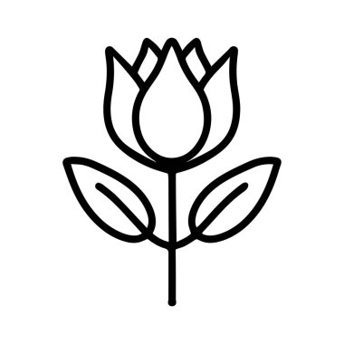 İki yapraklı bir lale çizimi.