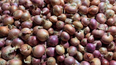 Bu göz seviyesindeki stüdyo çekimi, bir araya toplanmış taze arpacık soğanları gösteriyor. Dokulu bir yüzeyi olan, aydınlıktan karanlığa görsel olarak çekici bir değişim yaratıyor..