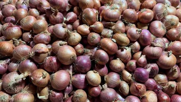 Bu göz seviyesindeki stüdyo çekimi, bir araya toplanmış taze arpacık soğanları gösteriyor. Dokulu bir yüzeyi olan, aydınlıktan karanlığa görsel olarak çekici bir değişim yaratıyor..