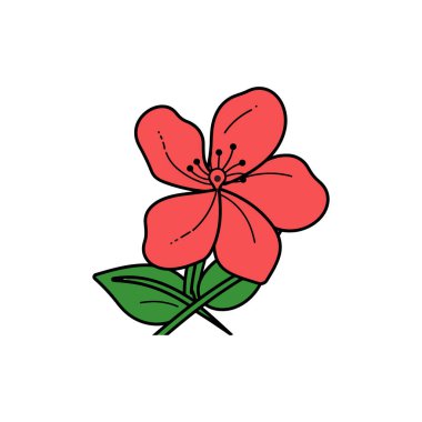 Canlı kırmızı bir çiçeğin, beş taç yaprağı, koyu kahverengi bir merkezi ve iki yeşil yaprağı olan tek bir çizgi film tarzı çizimi. Arka plan temiz beyaz..