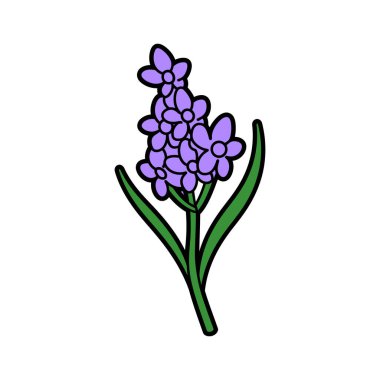 Mor sümbül çiçeğini gösteren kaprisli bir karikatür çizimi, kümelenmiş çiçekleri ve siyah renkli yeşil yaprakları, beyaz bir arkaplana dizilmiştir..