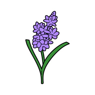Mor çiçekli ve iki yeşil yapraklı lavanta çiçeğinin basit bir çizimi, karikatür şeklinde çizilmiş, beyaz üzerine izole edilmiş..