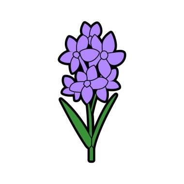 Bir sümbül çiçeğinin düz çizgi filmi. Mor yapraklar, yeşil yapraklar ve beyaz arka planda siyah bir çizgisi vardır. Botanik illüstrasyon, çiçek klipsleri..