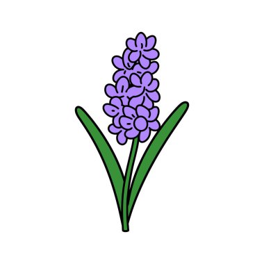 Bu resim, iki uzun, sivri yeşil yapraklı mor sümbül çiçeğinin biçimlendirilmiş bir vektör illüstrasyonunu gösteriyor..