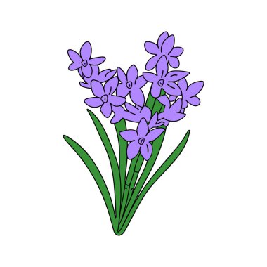 Zarif mor yapraklar ve canlı yeşil saplar sergileyen sümbül çiçeklerinin büyüleyici bir tasviri. Temiz beyaz bir arkaplanda izole, basit ve zarif..