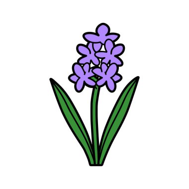 Bir çizgi film çizimi yeşil yapraklı mor bir sümbül çiçeğini tasvir eder. Çiçeğin siyah bir çizgisi ve parlak beyaz bir arka plana karşı basit şekilleri vardır..