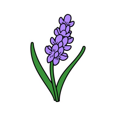 Bir lavanta çiçeğinin karikatür tarzı çizimi, mor bir çiçek, ayrı çiçekler ve iki uzun yeşil yaprak, hepsi beyaz bir arka planda..