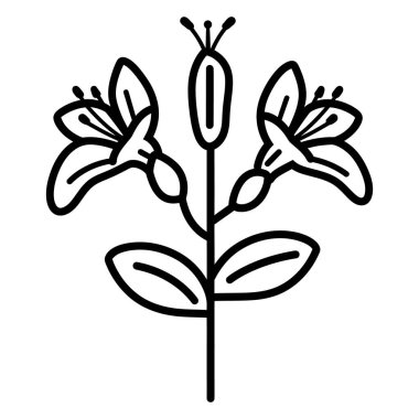 Detaylı siyah-beyaz çizgiler iki çiçek ve merkezi bir tomurcukla üç yapraklı bir bitki sergiliyor. Basit çiçekli tasarım. Minimalist botanik çizim.