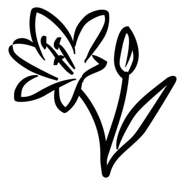 Siyah çizim, açık taç yaprakları ve kapalı bir tomurcukla birlikte çiçeklenmiş bir zambak gösteriyor. Sapı ve kekemeliği de gözle görülür şekilde tasvir edilmiştir. Basit biçim.