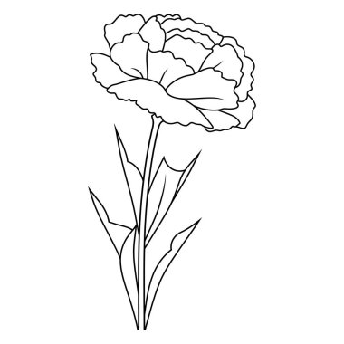 Bu siyah ve beyaz çizgi tek bir karanfil çiçeğini bembeyaz yapraklar üzerinde izole edilmiş, birkaç sivri yapraklı bir gövde tarafından desteklenen birden fazla taç yaprağı katmanlarıyla tasvir eder..