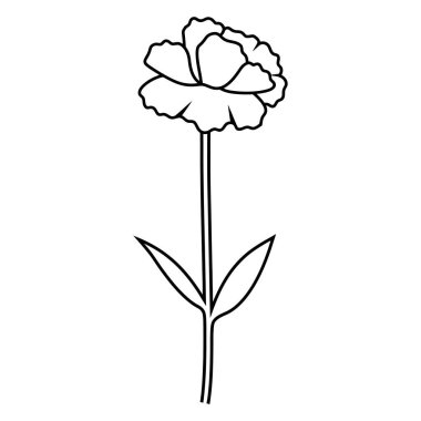 Uzun saplı ve iki sivri yapraklı bir karanfil çiçeğinin siyah çizimi. Renklendirme veya dekorasyon için uygun beyaz, grafik biçimi üzerine izole.