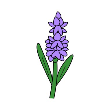 Bir illüstrasyon, yeşil sapı boyunca kümelenmiş mor yapraklı çizgi film stili bir lavanta çiçeği sunar. Siyah çizgili iki yaprak gövdeyi çerçeveler..