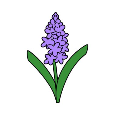 Siyah çizgili mor sümbül çiçeğinin dijital çizimi, yoğun çiçek kümesini ve zıt yeşil yaprakları temiz beyaz arka planda sergiliyor..