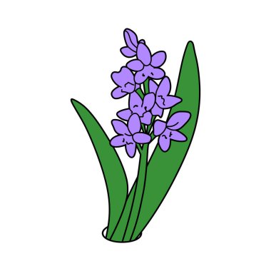 Mor bir sümbül çiçeğinin canlı yeşil yapraklarla çiçeklenmiş, beyaz bir arkaplan üzerine kurulmuş, sadeliği ve botanik güzelliği gösteren karikatür tarzı bir tasviri..