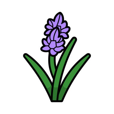 Bu vektör resmi basit bir karikatür tarzı sümbül çiçeğini gösteriyor. Mor yapraklar ve yeşil yapraklar, çizimler veya tasarım projeleri için mükemmel..