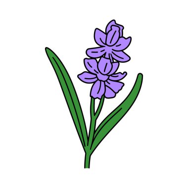 İki canlı, açık mor sümbül çiçeğinin olduğu minimalist çizgi film görüntüsü. Çiçeklere uzun, ince yeşil yapraklar eşlik eder. Temiz beyaz bir zemin üzerinde..