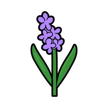 Basit bir çizgi film çizimi, yeşil saplı ve yapraklı mor bir sümbül çiçeğini gösteriyor. Görüntünün çok yönlülük için temiz, beyaz bir arkaplanı var.