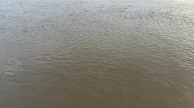 Bulanık suların yavaşça aktığı bir nehrin yakın görüntüsünü yakalar. Yüzeydeki bastırılmış ışık sakin bir ortam yaratarak ince su dokularını ortaya çıkarıyor..