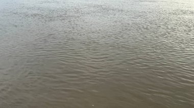 Suyun yüzeyinden yansıyan ışıkla akan bir nehri gösteriyor. Hareket eden su, sanatsal veya sakin temalar için mükemmel olan dokuların soyut bir arkaplanını yaratır..