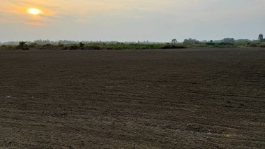 Manzaralı bir manzara, sabah güneşinin yumuşak ve sıcak ışığıyla aydınlanan, ufka doğru uzanan engin bir arazide yeni sürülmüş kahverengi toprağı sergiliyor..