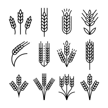Bu görsel siyah doğrusal buğday kulak simgelerinin bir koleksiyonunu sunar, her biri minimalist basitlik ve temiz tasarım ile hazırlanmış, beyaz arka planda zarif bir şekilde sergilenmektedir..