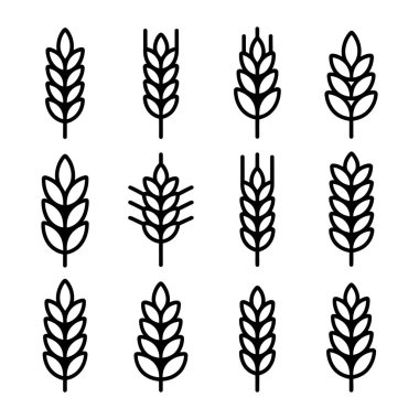 On iki vektör buğday sapı simgesi, beyaz arkaplana karşı cesur bir anahatla farklı şekiller gösterir. Varyasyonlar bir dizi simetrik buğday şekilleri sunar.