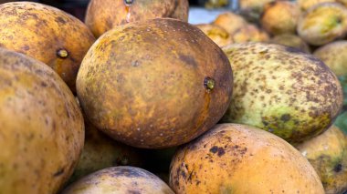 Yakından bakınca, üzerinde altın rengi kahverengi deri varyasyonları bulunan bir yığın olgun mango yakalıyor. Doku ve renkler meyve kümesindeki olgunluk ve doğal varyasyonları gösteriyor..