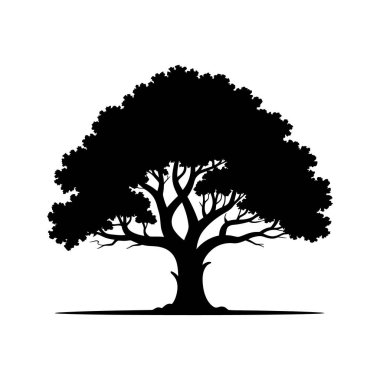 Birçok dalı olan siyah ağaç silueti, güçlü bir gövde ve karmaşık dal desenlerine sahip, saf beyaz arka plana belirgin bir şekilde karşı durmaktadır..