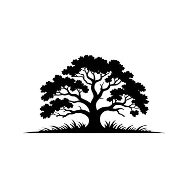 Siluet ağacı beyaz arka plandaki uzun çimlerin üzerinde duruyor. Görüntüyü net ve etkileyici bir sahne ile dramatik bir şekilde çekici kılıyor..