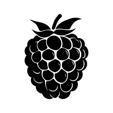 Tek renkli bir böğürtlen yapraklarla tek başına kalır ve beyaz bir arka plana yaslanır. Benzersiz biçimini ve dokusunu minimalist bir tarzda gösterir..