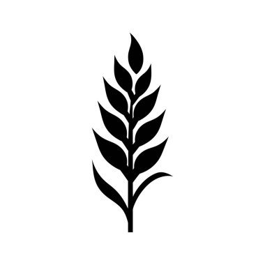 Bu tek bir siyah buğday sapının beyaz bir fonda toplandığı bir görüntü. Tasarım basit ve temiz, doğal formu vurguluyor..