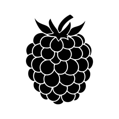 Çarpıcı bir siyah beyaz grafik tek bir böğürtlen görüntüler, eşsiz dokusunu ve biçimini çok yönlü uygulamalar için katıksız beyaz bir zemin üzerinde yakalar.