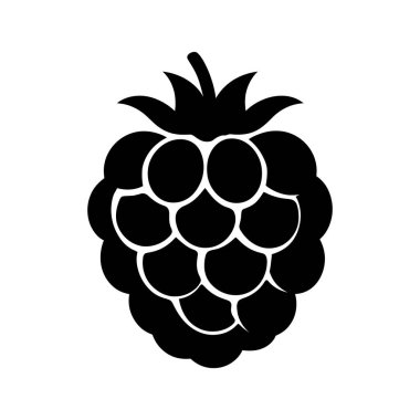 Siyah ahududu silueti, belirgin biçimini ve şeklini vurgulayan beyaz bir arka plana karşı ayrıntılı bir böğürtlenin eşsiz bileşimini ve dokusunu gösterir..